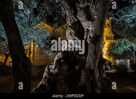 Gethsemane, Mount of Olives, Jerusalem, Israel Stock Photo