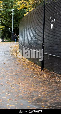Streets covered with fallen leaves in autumn Stock Photo