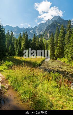 Bielovodska dolina valley with peaks above in High Tatras mountains in Slovakia during summer morning Stock Photo