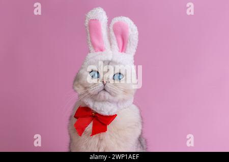 A funny white cat in a hat with bunny ears and a red bow tie sits on a pink background Stock Photo