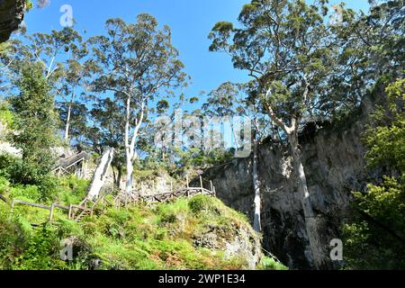 Lake Cave in Western Australia has a series of stairways and paths that descend through a large doline or ‘crater’ Stock Photo