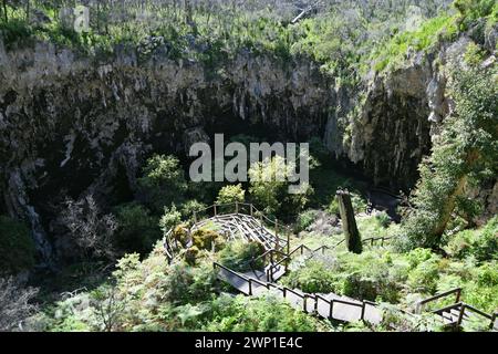 Lake Cave in Western Australia has a series of stairways and paths that descend through a large doline or ‘crater’ Stock Photo