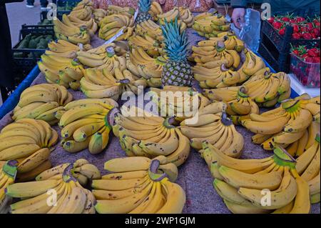 Bananas from the local market. Stock Photo