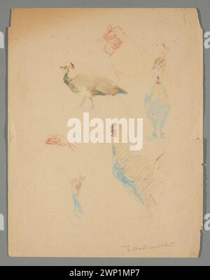 Sketches of chickens, peacock and a main turkey; Malczewski, Jacek (1854-1929); around 1919 (1921-00-00-1929-00-00);National Culture Fund Józef Piłsudski (1928-1939), National Culture Fund Józef Piłsudski (1928-1939)-collection, Malczewska, Maria (1866-1945), Malczewska, Maria (1866-1945)-collections, Malczewski, Rafał (1892-1965), Malczewski, Rafał (1892-1965)-collection, poultry, turkeys, chickens (zool.), Pawie, Poland (culture), Polish drawings, animal studies Stock Photo