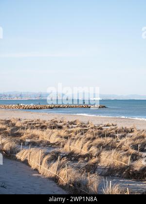 La Devesa del Saler beach in Valencia vertical shot Stock Photo