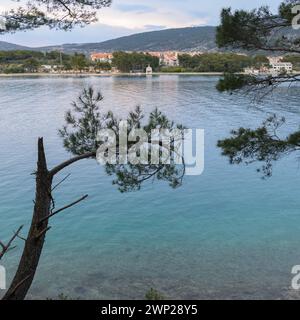 Calm sea near Cres after sunset in springtime, pine trees Cres Croatia Stock Photo