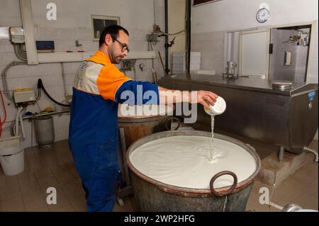 December 20 2023 - Italy, Sassari, Sardinia, Gavino and Giuliano Pulinas cheesemakers from Osilo produce typical Sardinian pecorino cheese Stock Photo