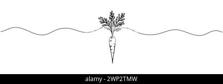 Carrot vegetable in continuous line drawing style isolated on white background. Vector illustration. Stock Vector