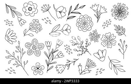 Big set with different flowers and leaves, doodle style flat vector outline illustration for kids coloring book Stock Vector