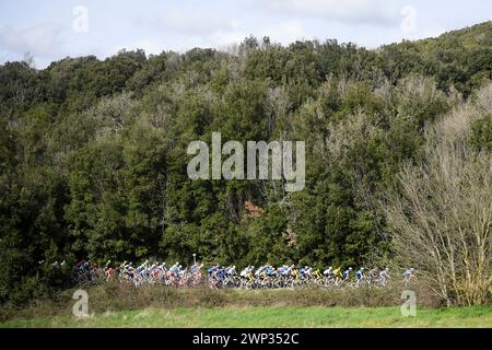 The pack rides during the 59th TirrenoAdriatico 2024, Stage 6 a km