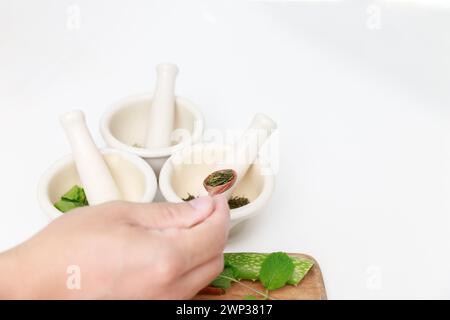 Herbal medicine preparation with fresh herbs and dried flowers used in natural alternative remedies. The scientist or doctor make herbal medicine from Stock Photo