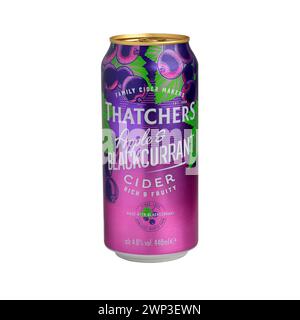 Can of Thatchers Apple and Blackcurrant Cider drink isolated on white background. Stock Photo