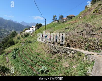 Portugal. 15th Mar, 2023. Hikers walk single file along a levada on the north coast of the Atlantic island of Madeira. Credit: Beate Schleep/dpa/Alamy Live News Stock Photo