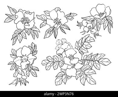 Rose hip flower silhouettes set, large pack of vector silhouette design, isolated white background Stock Vector