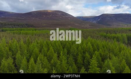 Aerial view of Glen Muick In the Cairngorms National Park of the Scottish Highlands of Scotland UK - Photo: Geopix Stock Photo