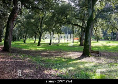 Roma, Italia. 05th Mar, 2024. Foto Valentina Stefanelli/LaPresse 05/03/2024 - Roma, Italia - Cronaca - Sopralluogo del Sindaco Roberto Gualtieri a Villa Ada. Nella foto villa Ada Credit: LaPresse/Alamy Live News Stock Photo