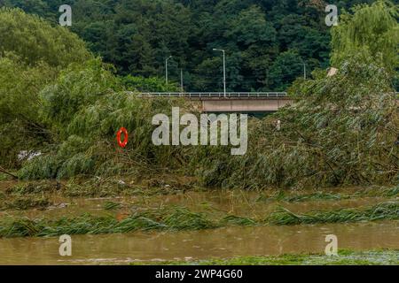 Damaged trees in flooded water with a bridge in the background under an overcast sky, in South Korea Stock Photo