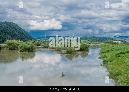 Landscape of tall damaged trees in flooded river after torrential monsoon rainfall in Daejeon South Korea Stock Photo