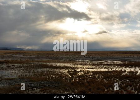 The rays of the setting sun break through the clouds of a storm front over the swampy steppe in early autumn. Chui steppe, Altai, Siberia, Russia. Stock Photo