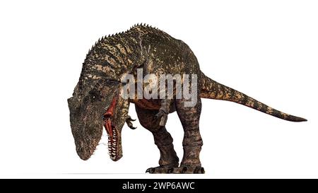 Gigantosaurus is a dubious genus of sauropod dinosaur from the Late ...