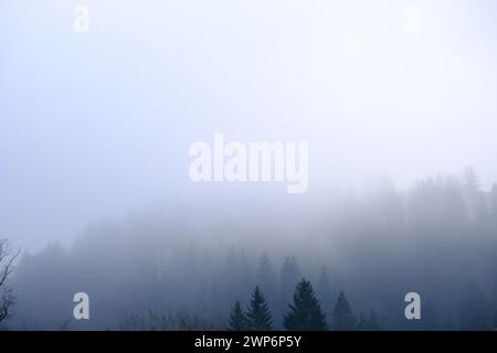 On a dark day in a lost place. Stock Photo