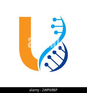 Initial DNA Logo On Letter U Vector Template For Healthcare Symbol Stock Vector