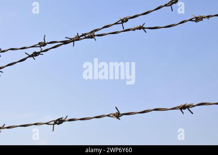 Rusty barbed wire, blue sky background Stock Photo