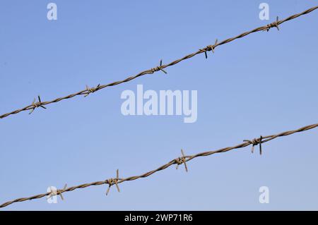 Rusty barbed wire, blue sky background Stock Photo