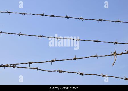 Rusty barbed wire, blue sky background Stock Photo