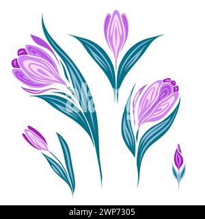 Vector set of spring flowers. Decorative flat illustration of crocuses isolated from background. Floral clipart for stickers, cards. Stock Vector