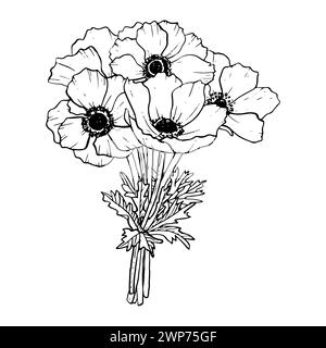 Brides bouquet of anemone flowers. Field poppies Stock Vector