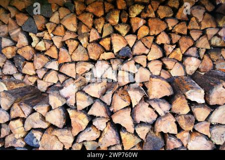Stacked chopped logs Stock Photo