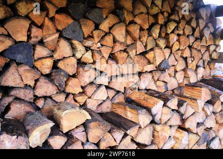 Stacked chopped logs Stock Photo