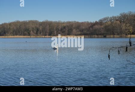 Sacrower See, Potsdam, Brandenburg, Deutschland Stock Photo