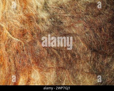 Texture of natural multi-colored mohair wool, scarf close-up. Fragment of mohair clothes. Shaggy warm winter fabric. Winter wardrobe. Long fluffy Stock Photo