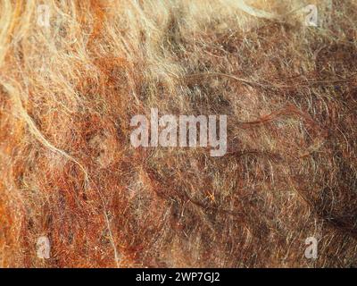 Texture of natural multi-colored mohair wool, scarf close-up. Fragment of mohair clothes. Shaggy warm winter fabric. Winter wardrobe. Long fluffy Stock Photo