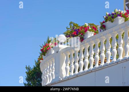 White concrete terrace balustrade with many multicolor Petunia flowers in balcony vases. Stock Photo