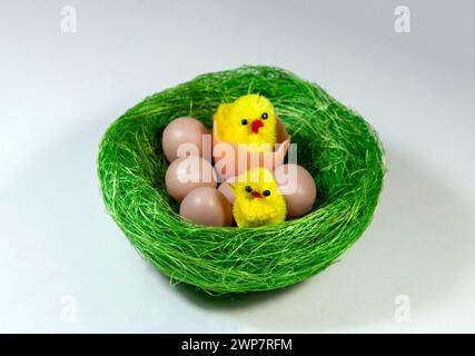 A decorative artificial nest with eggs and chicks on a white background. Easter arrangement symbol Stock Photo