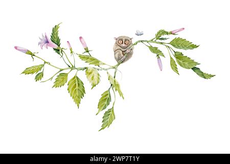 Tarsier on a green floral branch. Watercolor illustration element isolated on white background. Hand drawn painting of native Philippines anima Stock Photo