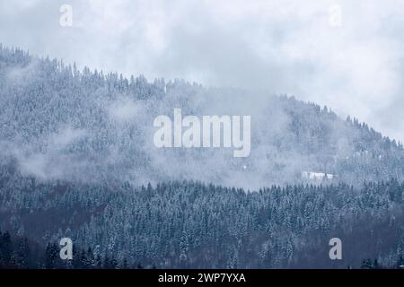 A Steam over a mountain in winter. Fog and clouds above a mountain forest Stock Photo