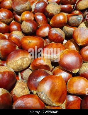 A close-up of many edible chestnuts with selective focus Stock Photo