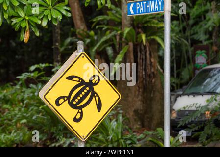 A warning sign for motorists boarding and exiting the Daintree River Ferry to lookout for native freshwater turtles in Queensland, Australia Stock Photo
