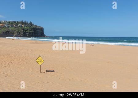 Bilgola Beach on east coast of Sydney, beach closed sign in sand as woman sunbathes alone, Sydney northern beaches blue sky day, NSW,Australia,2024 Stock Photo
