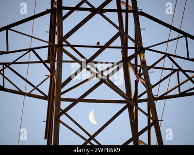 I love electricity pylons; I find their abstract, gaunt shapes endlessly fascinating. And here is a new viewpoint - a crescent half- moon seen though Stock Photo