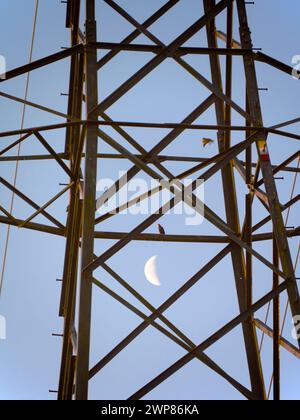 I love electricity pylons; I find their abstract, gaunt shapes endlessly fascinating. And here is a new viewpoint - a crescent half- moon seen though Stock Photo