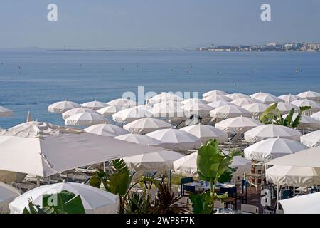 France. Nice. Nice beach with beach chairs, white umbrellas and palm trees. luxury beach against the background of the beauty of the sea. Stock Photo