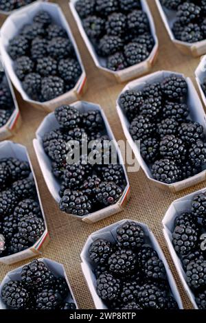 Fresh blackberries in a paper box. Fresh organic blackberries being sold on a stall at a farmers market Stock Photo