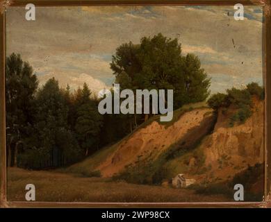 Sandy landscape;  19th century (1800-00-00-1899-00-00);forests, landscapes, forest landscapes, fields Stock Photo