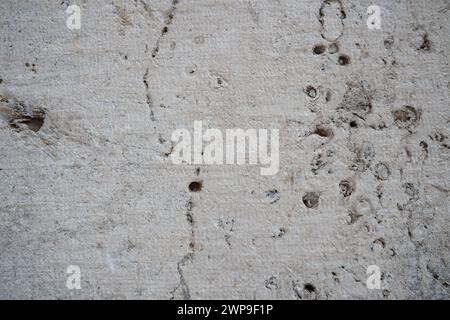 Shell Spotted Rock Shell rock is a sedimentary rock. One of the varieties of limestone ...