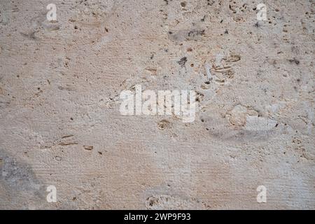 Animal Shell Limestone Shell rock is a sedimentary rock. One of the varieties of limestone ...